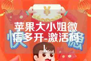苹果大小姐微信多开-激活码k