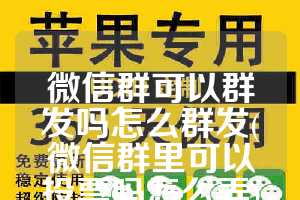 微信群可以群发吗怎么群发(微信群里可以投票吗怎么弄)