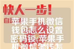 苹果手机微信钱包怎么设置密码锁(苹果手机微信零钱怎么设置密码)