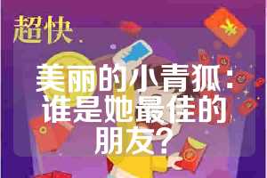 美丽的小青狐：谁是她最佳的朋友？