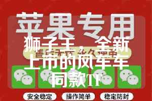 狮子王，全新上市的风车车同款TF