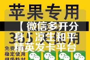 【微信多开分身】凉生和平精英发卡平台