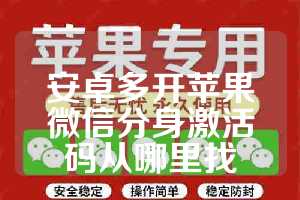 安卓多开苹果微信分身激活码从哪里找