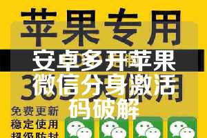 安卓多开苹果微信分身激活码破解