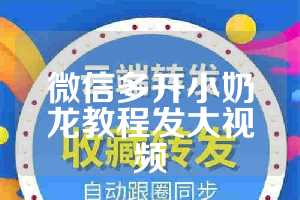 微信多开小奶龙教程发大视频