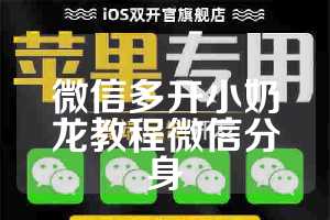 微信多开小奶龙教程微信分身