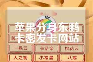 苹果分身东鹏卡密发卡网站