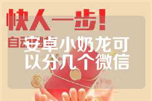 安卓小奶龙可以分几个微信