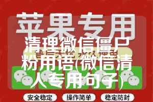 清理微信僵尸粉用语(微信清人专用句子)