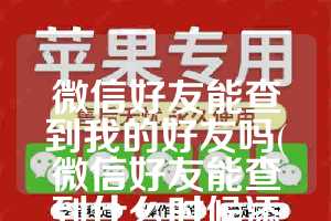 微信好友能查到我的好友吗(微信好友能查到什么时候添加的吗)