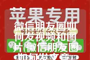微信朋友圈如何发视频和图片(微信朋友圈如何发文章)