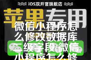 微信小程序怎么修改数据库二级字段(微信小程序怎么修改数据库二级字段的某条记录字段)
