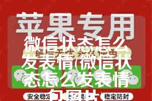 微信状态怎么发表情(微信状态怎么发表情包图片)