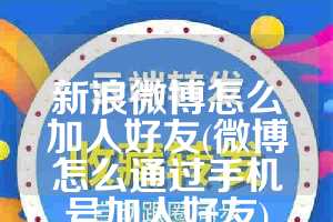 新浪微博怎么加人好友(微博怎么通过手机号加人好友)