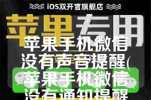 苹果手机微信没有声音提醒(苹果手机微信没有通知提醒怎么办)