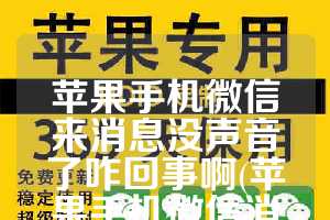 苹果手机微信来消息没声音了咋回事啊(苹果手机微信消息没有声音怎么回事)