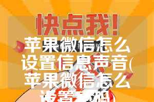 苹果微信怎么设置信息声音(苹果微信怎么设置密码)