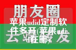 苹果udid定制软件多开(苹果udid在哪)