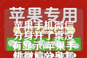苹果手机微信分身开了桌没有显示(苹果手机微信分身怎么弄 教程)