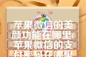 苹果微信的美颜功能在哪里(苹果微信的支付密码在哪里修改呢)
