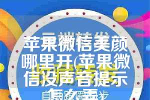 苹果微信美颜哪里开(苹果微信没声音提示怎么弄)
