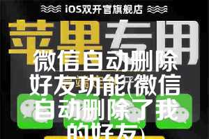 微信自动删除好友功能(微信自动删除了我的好友)