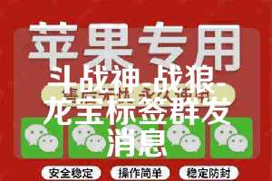 斗战神-战狼-龙宝标签群发消息