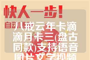八戒云年卡滴滴月卡三(盘古同款)支持语音图片文字视频多种类型