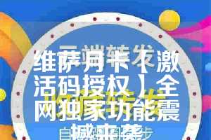 维萨月卡【激活码授权】全网独家功能震撼来袭