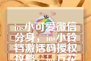 ios小可爱微信分身，ios小铃铛激活码授权攻略，ios万花筒如何下载